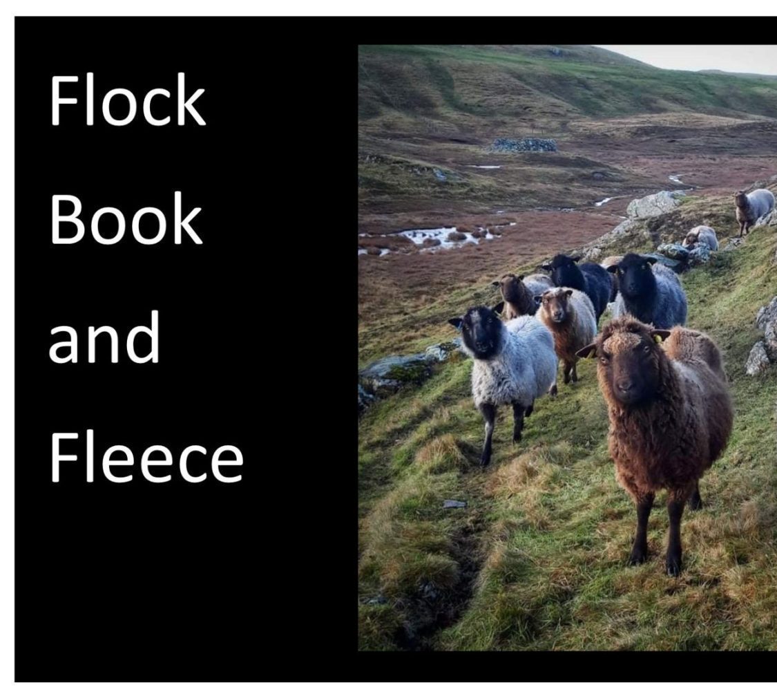 Flock Book and Fleece: A Conversation with the Doull Family